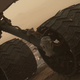 Imágenes: NASA/JPL-Caltech/MSSS